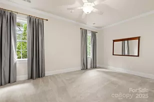 13105 O'Dell Heights Dr, Mint Hill, NC 28227 - Photo 28