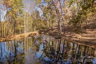 10 Tahchee Trail, Fletcher, NC 28732 - Photo 44