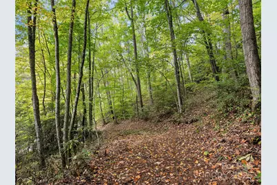 Lot 23 Finlaystone Trace, Waynesville, NC 28786 - Photo 4
