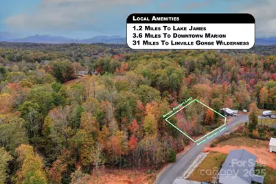 269 Mooseheart Road, Nebo, NC 28761 - Photo 10