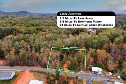 269 Mooseheart Road, Nebo, NC 28761 - Photo 12