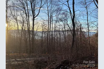 899 Hyacinth Drive, Clyde, NC 28721 - Photo 10