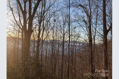 899 Hyacinth Drive, Clyde, NC 28721 - Photo 6