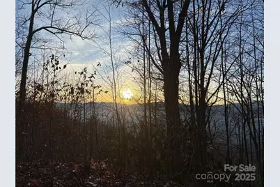 899 Hyacinth Drive, Clyde, NC 28721 - Photo 1