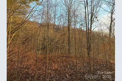 899 Hyacinth Drive, Clyde, NC 28721 - Photo 22