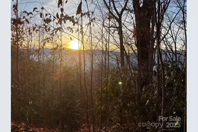 899 Hyacinth Drive, Clyde, NC 28721 - Photo 24