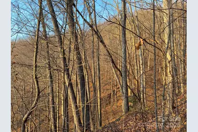 899 Hyacinth Drive, Clyde, NC 28721 - Photo 20