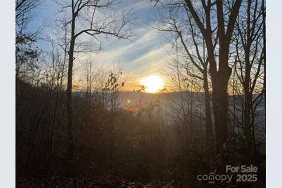 899 Hyacinth Drive, Clyde, NC 28721 - Photo 2