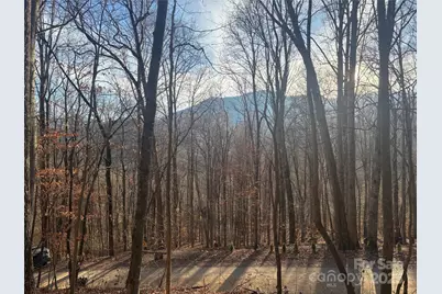 899 Hyacinth Drive, Clyde, NC 28721 - Photo 12