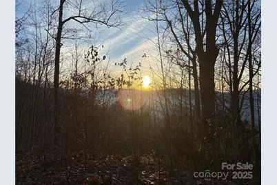 899 Hyacinth Drive, Clyde, NC 28721 - Photo 14