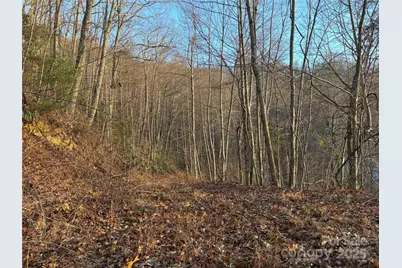 899 Hyacinth Drive, Clyde, NC 28721 - Photo 4