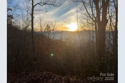 899 Hyacinth Drive, Clyde, NC 28721 - Photo 16