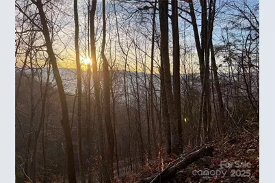 899 Hyacinth Drive, Clyde, NC 28721 - Photo 18