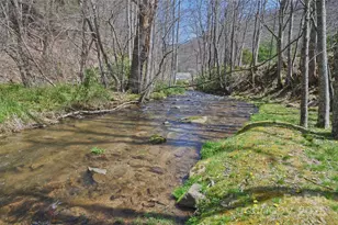 147 & 131 Gentry Farm Dr, Hot Springs, NC 28743 - Photo 22