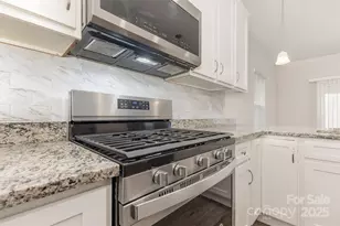 1119 Pecan Ridge Rd, Fort Mill, SC 29715 - Photo 12