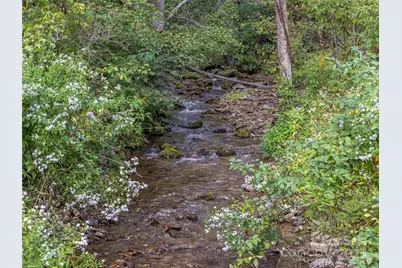 945 Roaring Fork Road, Hot Springs, NC 28743 - Photo 46