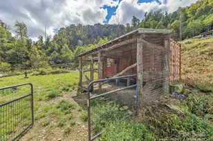 945 Roaring Fork Rd, Hot Springs, NC 28743 - Photo 36