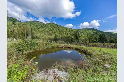 945 Roaring Fork Road, Hot Springs, NC 28743 - Photo 34