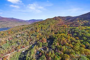 96 & 97 Old Cove Rd, Black Mountain, NC 28711 - Photo 48