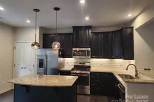 1229 Queen Lyon Ct, Charlotte, NC 28205 - Photo 6