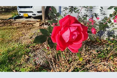 141 Hungry Creek Road, Canton, NC 28716 - Photo 6