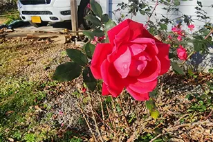 141 Hungry Creek Rd, Canton, NC 28716 - Photo 6