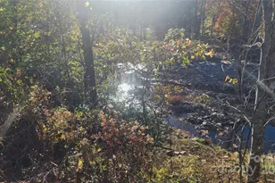 141 Hungry Creek Rd, Canton, NC 28716 - Photo 36