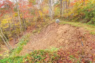 1 Kelsey Ct, Swannanoa, NC 28778 - Photo 22