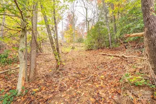 1 Kelsey Ct, Swannanoa, NC 28778 - Photo 24