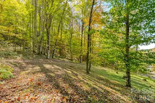 1495 El Miner Dr, Mars Hill, NC 28754 - Photo 34