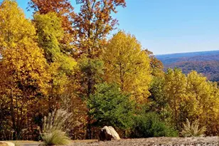 735 Bills Mountain Trail, Lake Lure, NC 28746 - Photo 44