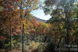 22 Faholoa Ridge Rd, Black Mountain, NC 28711 - Photo 20