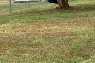 5367 Meadowlane Dr, Granite Falls, NC 28630 - Photo 6