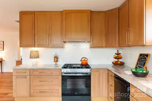 58 Balm Grove Ave, Asheville, NC 28806 - Photo 10