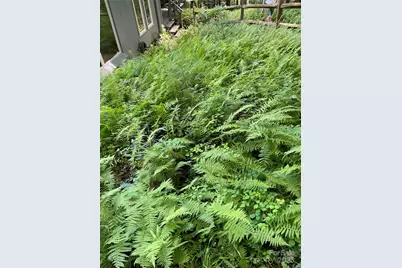 250 Butternut Lane, Brevard, NC 28712 - Photo 40