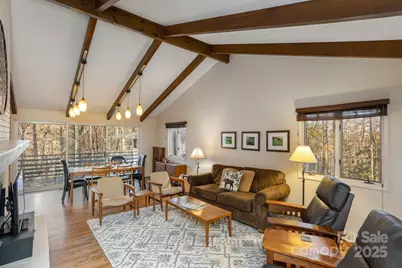 250 Butternut Lane, Brevard, NC 28712 - Photo 10