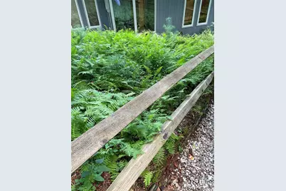 250 Butternut Lane, Brevard, NC 28712 - Photo 42