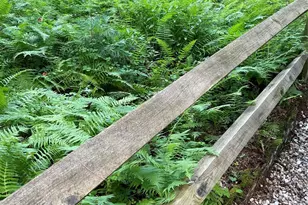 250 Butternut Ln, Brevard, NC 28712 - Photo 42