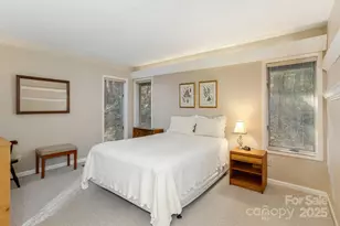 250 Butternut Ln, Brevard, NC 28712 - Photo 22