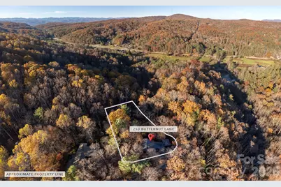 250 Butternut Lane, Brevard, NC 28712 - Photo 40