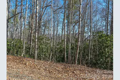 99999 Toe River Lane, Newland, NC 28657 - Photo 4