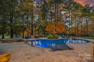 123 Stonewall Beach Ln, Mooresville, NC 28117 - Photo 4