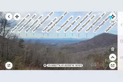 311 Mountain Lookout Drive, Bostic, NC 28018 - Photo 16