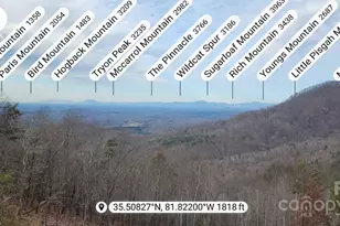 311 Mountain Lookout Dr, Bostic, NC 28018 - Photo 16