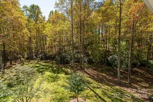 115 Chancery Ct, Flat Rock, NC 28731 - Photo 38