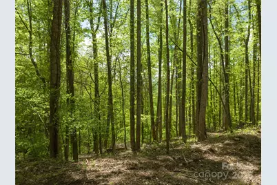 26 Fall Mountain Road #58, Asheville, NC 28803 - Photo 8
