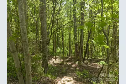 26 Fall Mountain Road #58, Asheville, NC 28803 - Photo 4