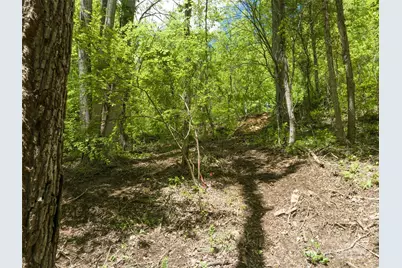 26 Fall Mountain Road #58, Asheville, NC 28803 - Photo 10
