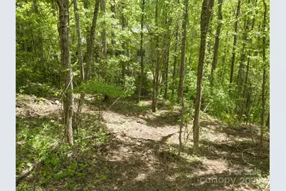 26 Fall Mountain Road #58, Asheville, NC 28803 - Photo 6