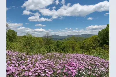 26 Fall Mountain Road #58, Asheville, NC 28803 - Photo 18
